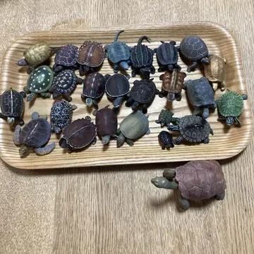 거북이 피규어 26마리 묶음 판매