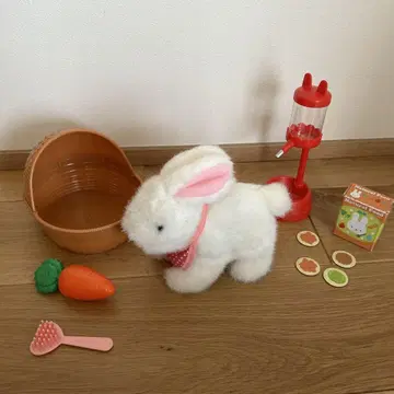 돌봐줘요 복슬복슬 토끼 토끼
