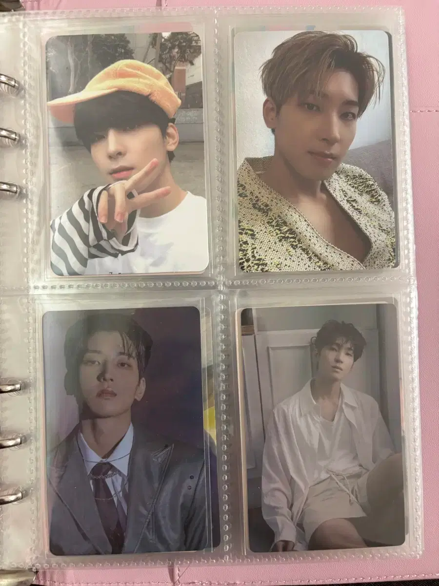 49 pieces bulk, generous freebies) Seventeen Wonwoo, Dino poca
