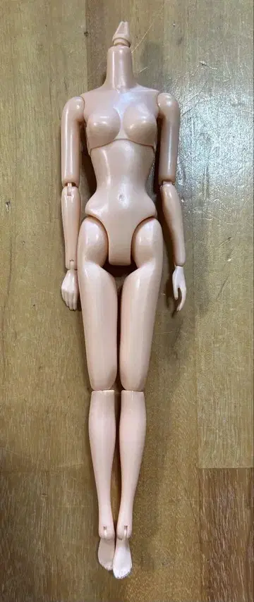 momoko 바디 petworks CCS 25SS 내추럴 피부 보통 피부