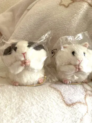 햄스터 봉제 인형