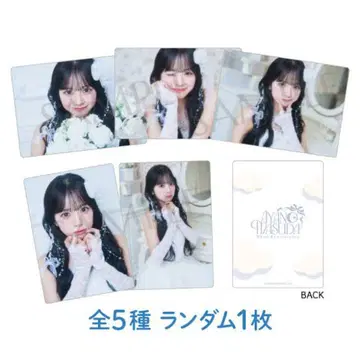 마스다 아야노 생일 축하 트레이딩 카드 전 5종