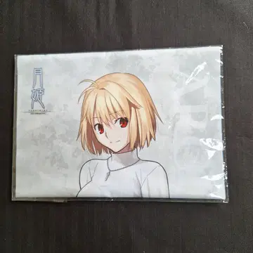 월희 아르퀘이드 천 포스터 TYPE-MOON