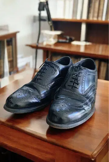 Flosheim 플로샤임 윙 팁 트리커스 25.5cm