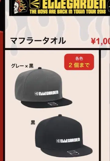 ELLEGARDEN