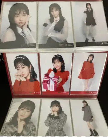Whitescorpion CHOCO 브로마이드 10종류 묶음 판매