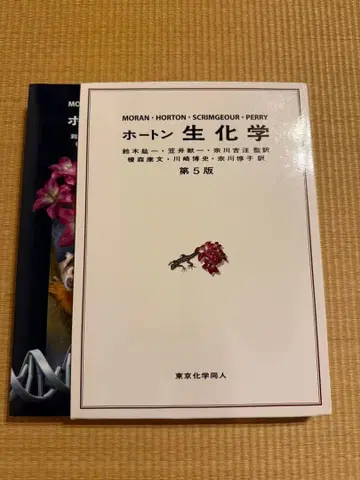 호튼 생화학 제5판