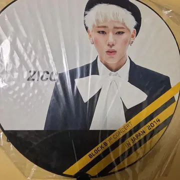 BLOCK B ZICO 부채 2014년 콘서트