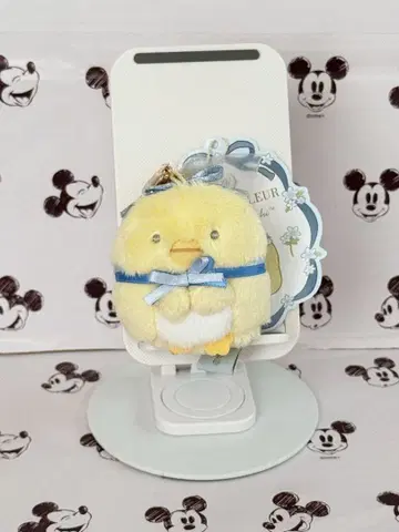 스미코구라시 Maison de FLEUR 메종 드 플뢰르 펭귄?