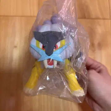 포켓몬스터 디럭스 피규어 라이코 미개봉 택 포함