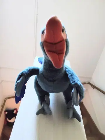 다코타 랩터 봉제 인형 공룡 박람회