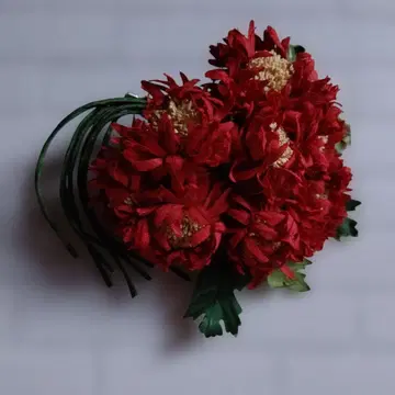 코사지