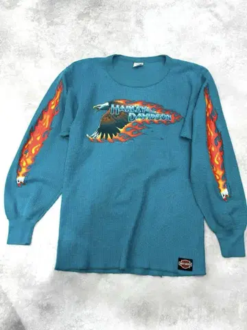 레어 90s USA Harley Davidson 서멀 프레임 XL