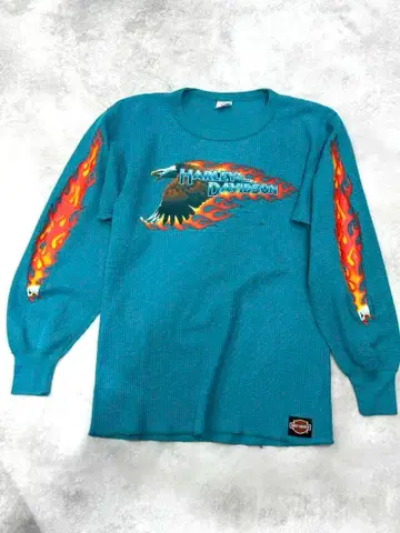 레어 90s USA Harley Davidson 서멀 프레임 XL