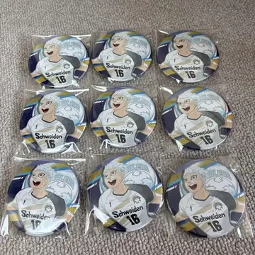 하이큐 호시우미 코라이 v리그 캔뱃지 9