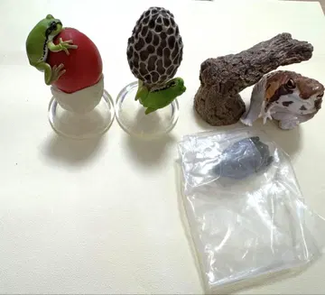 버섯과 청개구리 손가락말이 컬렉션 개구리 가챠가챠