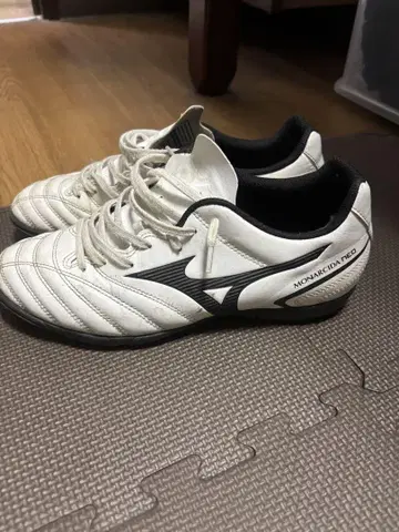 Mizuno Monarcida Neo 트레이닝 슈즈