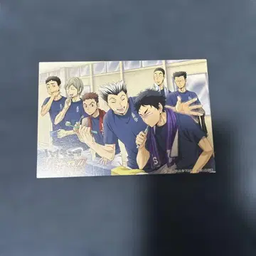 [ 희귀 레어 ] 하이큐 바보카 엽서 부엉이 세트