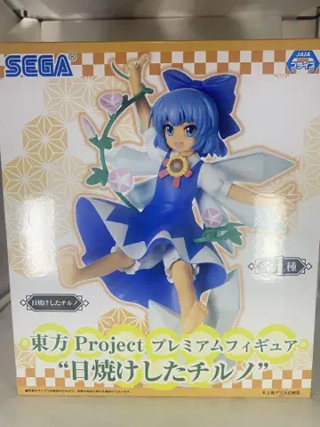 동방Project 프리미엄 피규어 일광화상 입은 치르노