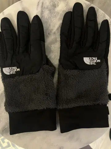 THENORTHFACE 데날리 칩 그로브