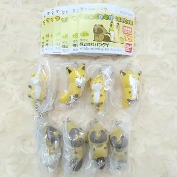 너구리와 여우  전 8종 풀 컴프
