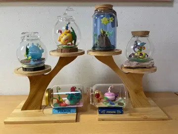 [ 예약 ] 테라리움