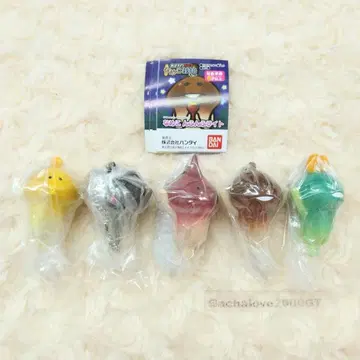 만지면 알 수 있는 버섯 재배 키트 버섯 똥 라이트 전 5종 컴플리트