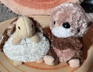 랏코 거북이 봉제 인형