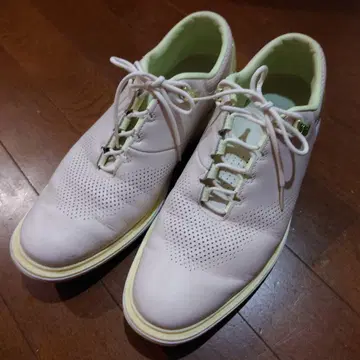 골프화 조던 ADG 4 27.5cm