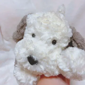 [내일 발송 가능] JELLYCAT 강아지 봉제 인형 [가격 인하 가능]