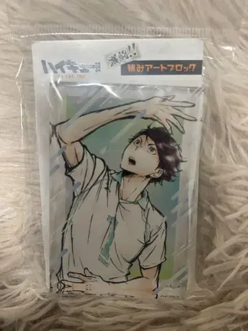 하이큐!! 격투!! 쌓기 아트 블록 오이카와 토오루