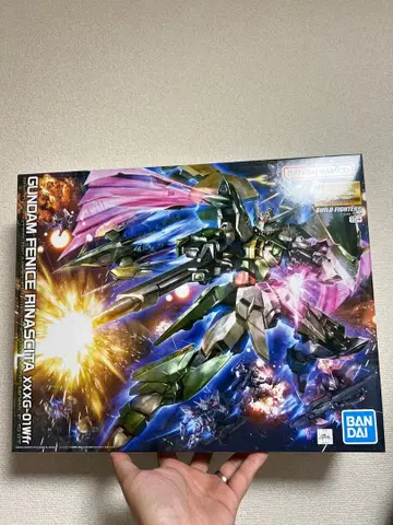 MG 1/100 건담 페니체 리나시타