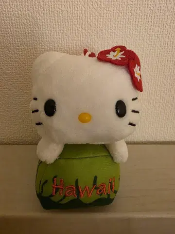 하와이 다이아몬드 헤드 한정판 키티