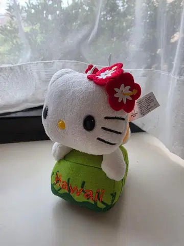 하와이 다이아몬드 헤드 한정판 키티