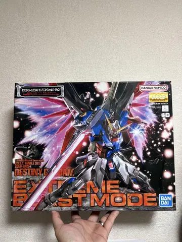 MG 1/100 데스티니 건담 익스트림 블라스트 모드