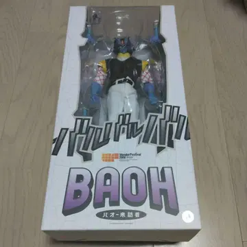 RAH [바오 방문자] 리얼 액션 히어로 WF2008 겨울 한정판