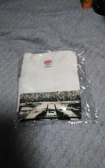 재팬코어 GAUZE T셔츠 size:XL