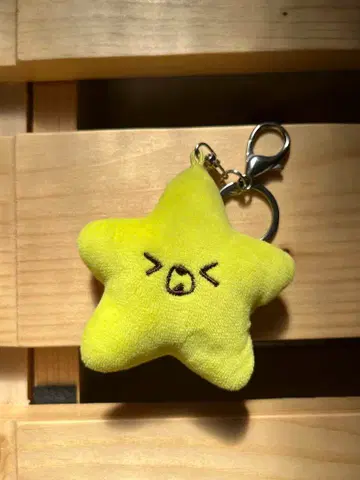 NCT127 UNITY 해찬 불가사리 키링 불가사리