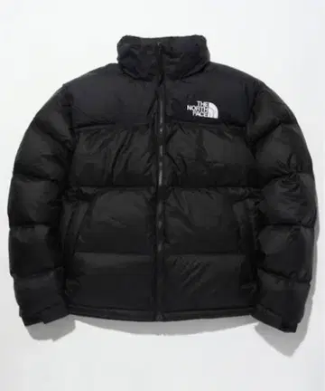THE NORTH FACE 눕시 US 1996