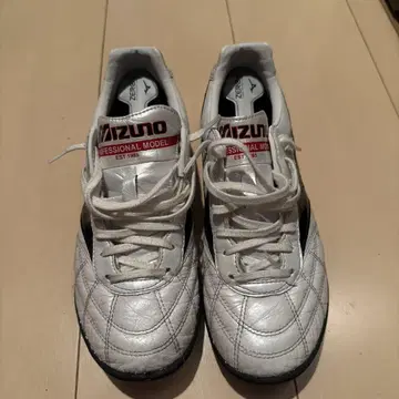 MIZUNO 모레리아 트레이닝 슈즈
