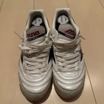 MIZUNO 모렐리아 실내