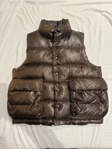 DAIWA PIER39 다운 베스트