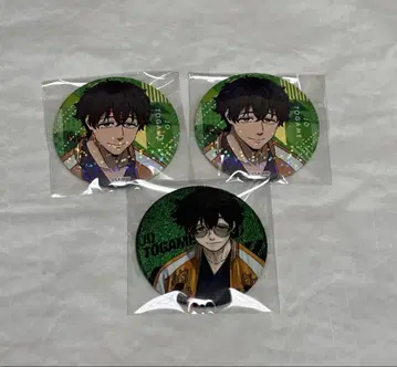 WIND BREAKER 토가미 죠 캔뱃지