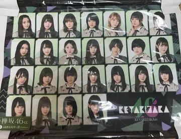 케야키자카46 복권 태피스트리