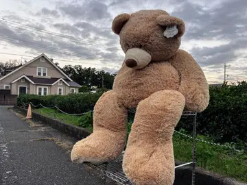 코스트코 큰 곰 약 140cm