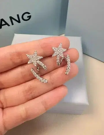 크리스탈 별 모양 귀걸이 실버