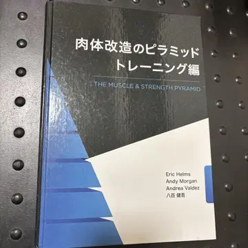 신체 개조의 피라미드 트레이닝 편
