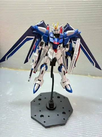 HG SEED FREEDOM 1/144 라이징 프리덤 건담 완성품