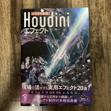 오로지 실천! Houdini 이펙트