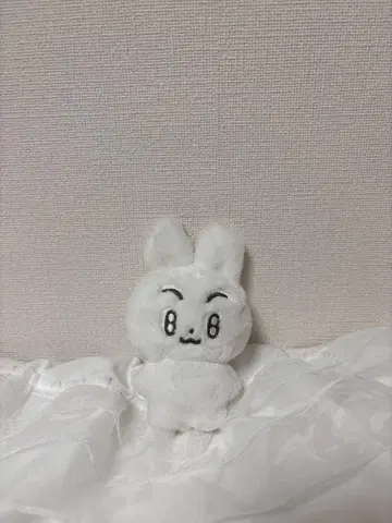 txt 포바투 인형 수빈